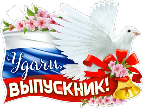 Плакат 'Удачи, выпускник', P2V-126